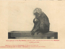 42 ascq - laboratoire meleane 01